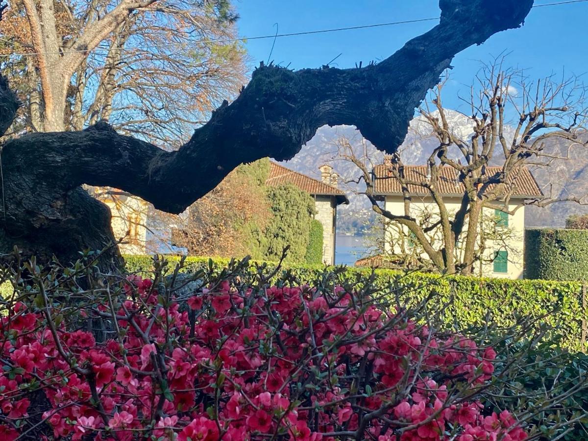 Villa Magnolia - Lake Como Lenno Dış mekan fotoğraf